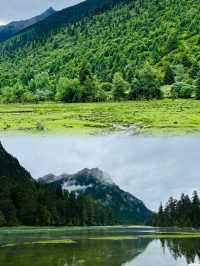 6月西藏林芝，邂逅雪山下的最後春色