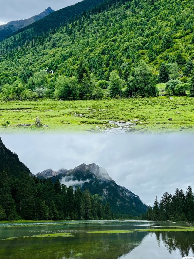 6月西藏林芝，邂逅雪山下的最後春色