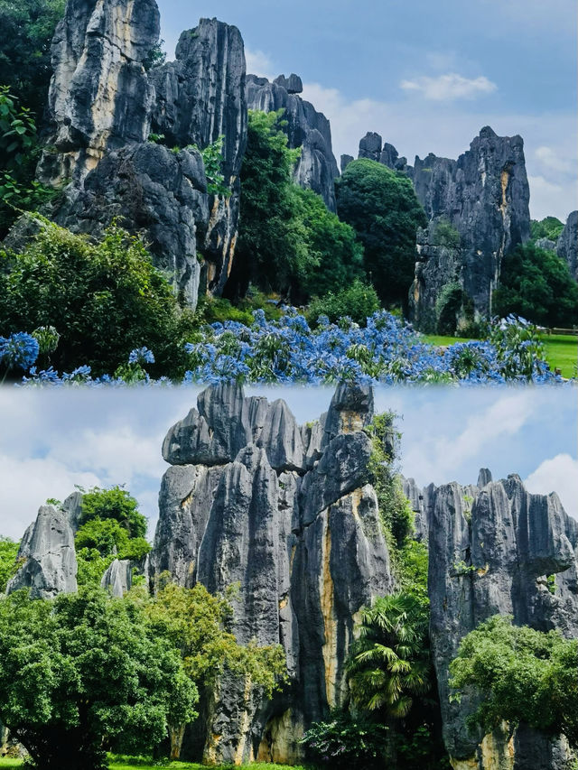 雲南石林｜比想像中更震撼！