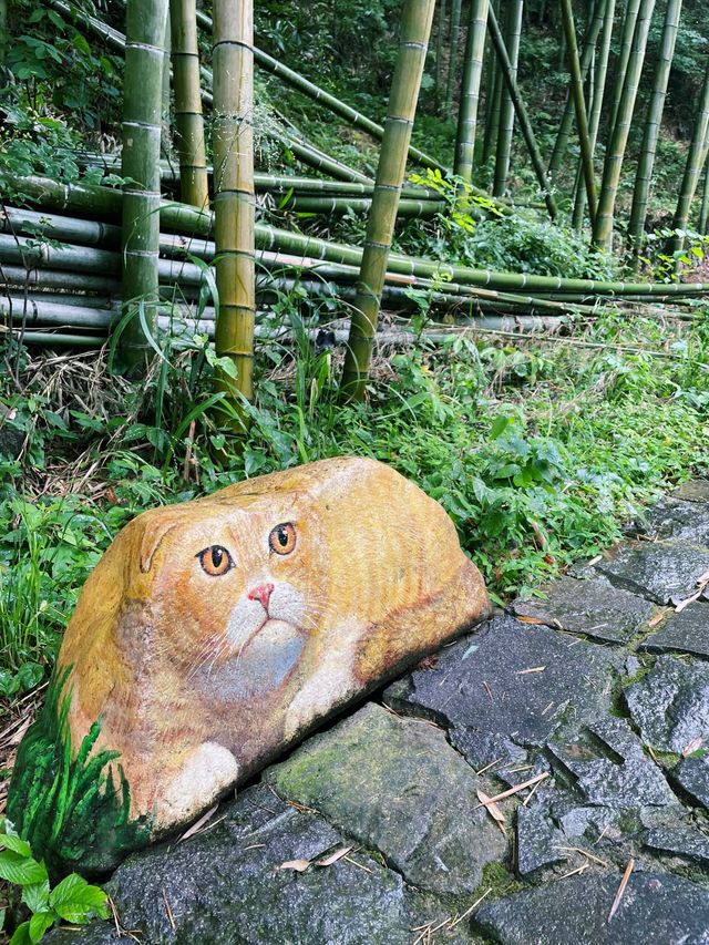 莫干山碧坞龍潭｜0元玩水秘境！獨享「竹林瀑布