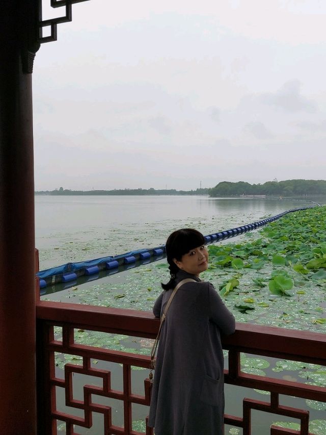 🌸 《夢回紅樓・上海大觀園》