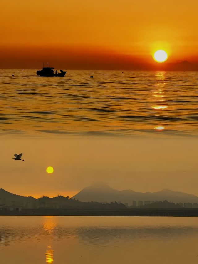 霞浦真係正到爆！無邊際泳池！好有都市feel！海景房！！！