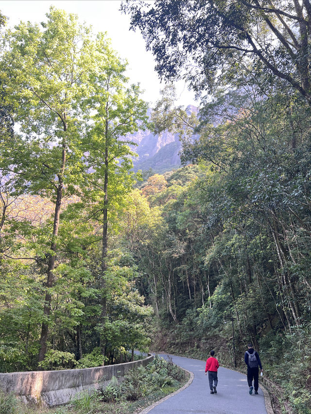 漳州靈通岩|藏於深山峭壁上嘅「懸空寺」