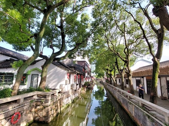 🌿《在新場有些舊，是等妳來疼惜的》