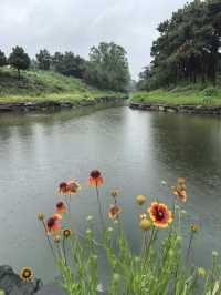 煙雨圓明園：江南韻與歷史愁