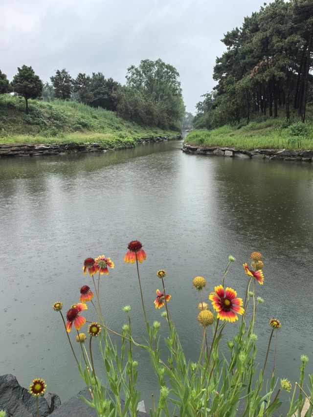 煙雨圓明園：江南韻與歷史愁