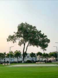 黃昏嘅西港花園