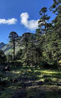 香格里拉南極洛
