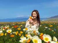 跌入金色夢境，收藏盛夏嘅溫柔絮語