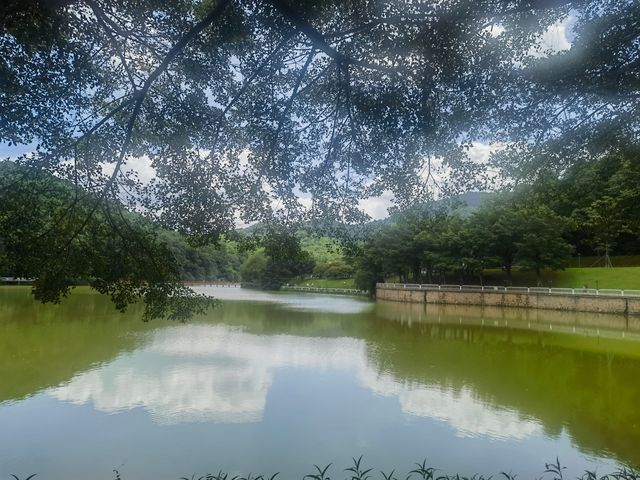 隱藏於白雲山麓嘅翡翠秘境