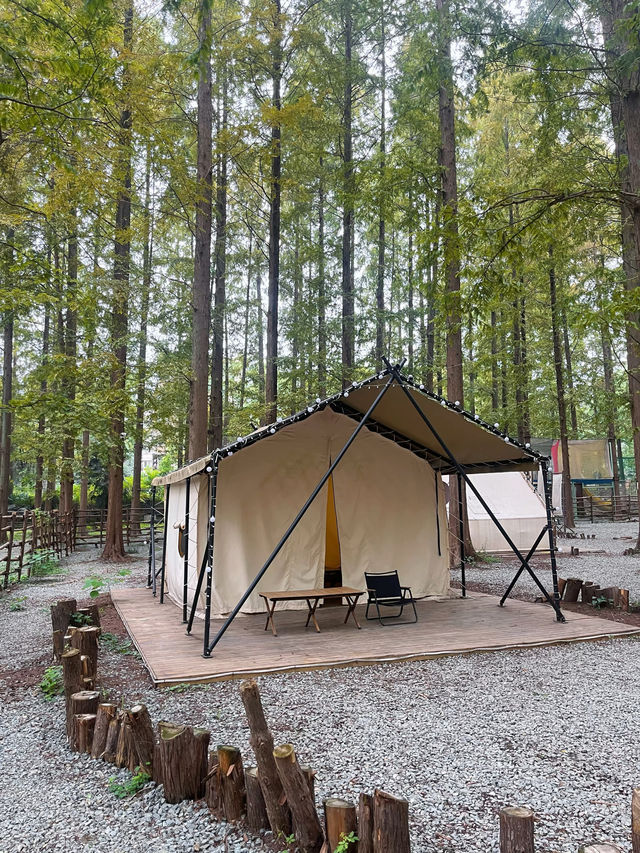 信陽小眾深度遊攻略：豫南山水與茶香之旅