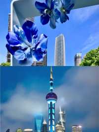 上海各區核心景點清單！收藏必備！