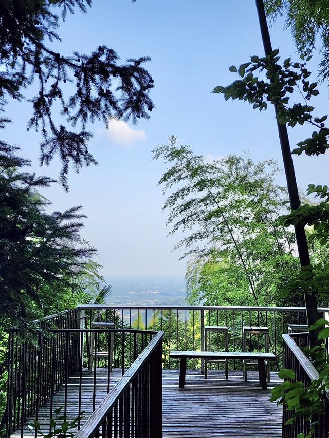 青城山！路之青城溫泉酒店，太好住啦！