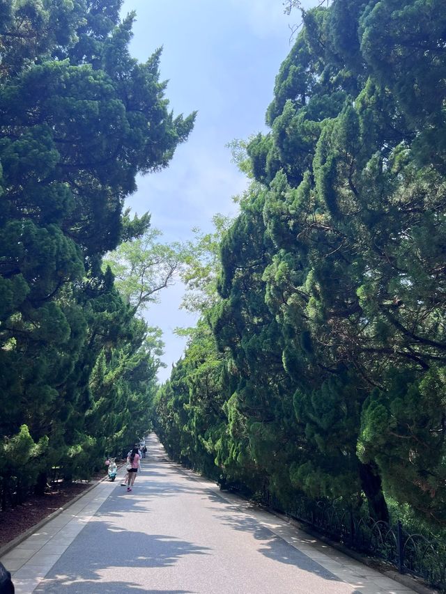 點解你要嚟望仙谷