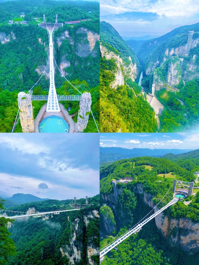 張家界避坑指南