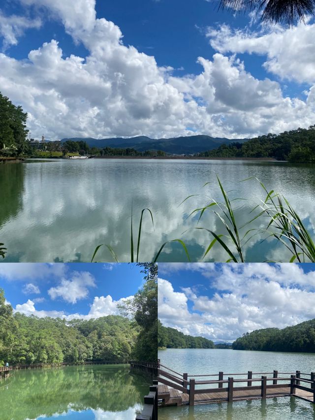 雲南普洱超全攻略｜喺22℃嘅夏天，赴一場咖啡與雨林嘅約會