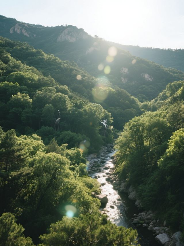 榮成瘋咗！人均500玩盡「中國最美海岸線」附隱藏玩法