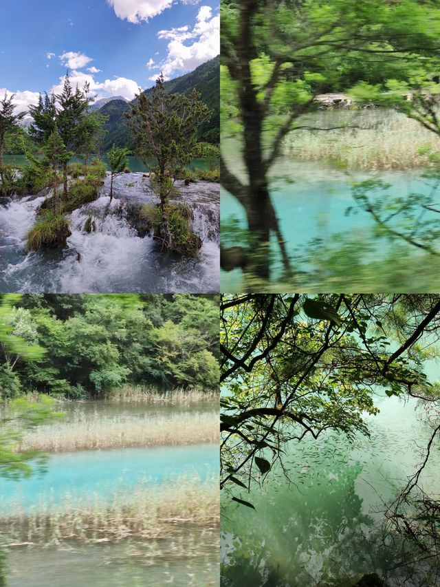 打卡九寨溝啦