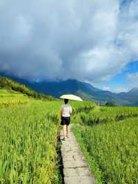 雲和梯田躲進宮崎駿嘅夏天避暑