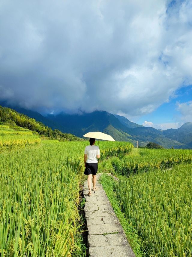 雲和梯田躲進宮崎駿嘅夏天避暑