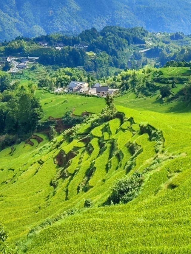 雲和梯田躲進宮崎駿嘅夏天避暑
