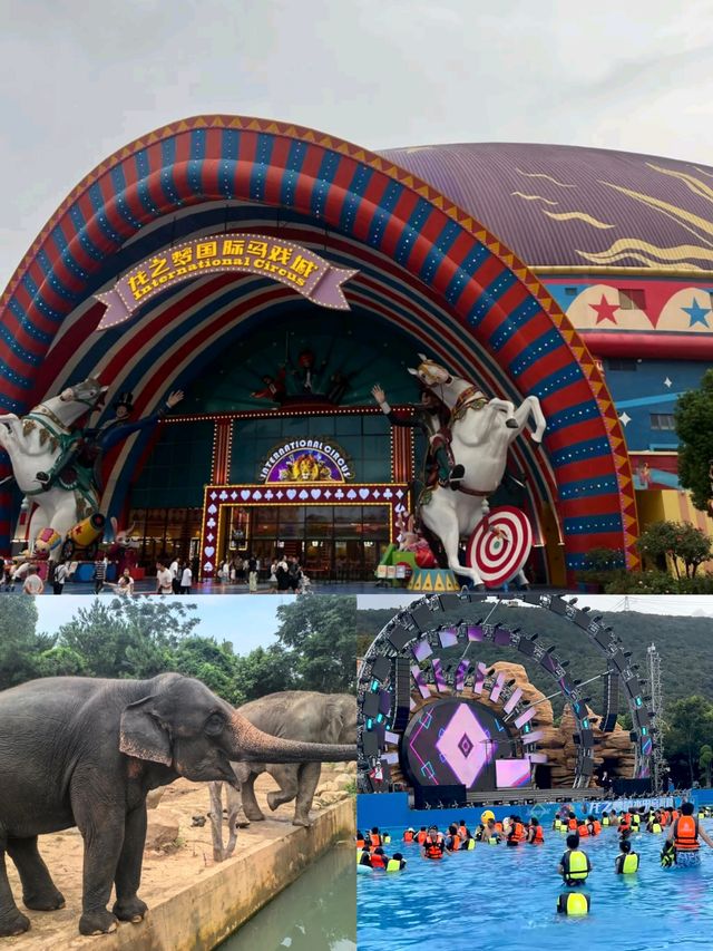 【動物園超全遊玩攻略！人少不排隊+免費碰碰車