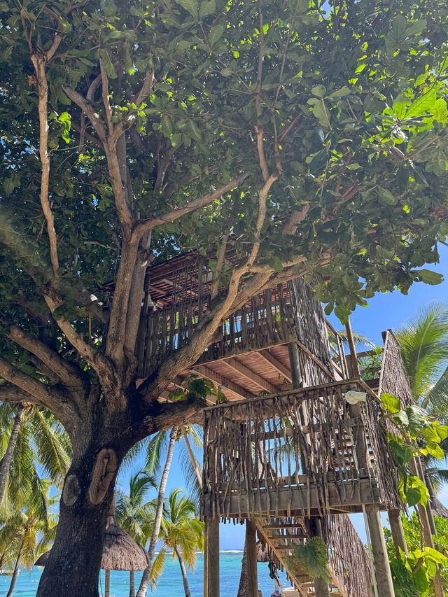 Tropical Paradise at Lux Le Morne