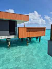 Incredible Stay at Veligandu Resort