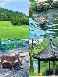 安吉百草園暑期攻略（避雷+推介）