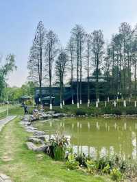 山水入畫，聯玉生態園的四季私語