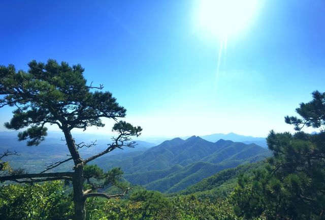 十一唔好逼爆網紅熱點!大連呢座「寶藏山」藏住絕美金秋,90%人都玩錯咗!🍂
 
國慶想避開人山人海嘅海濱浴場 十一唔好逼爆網紅熱點!大連呢座「寶藏山」藏住絕美金秋,90%人都玩錯咗!🍂
 
國慶想避開人山人海嘅海濱浴場