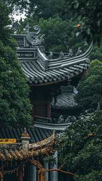 聊城三日遊