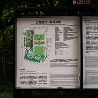 Day Walk in Fuxing Park, Shanghai 🌞