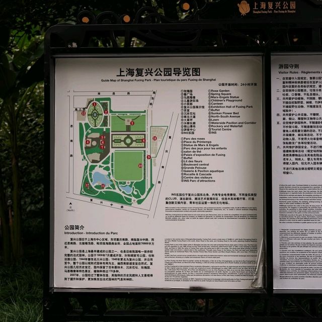 Day Walk in Fuxing Park, Shanghai 🌞