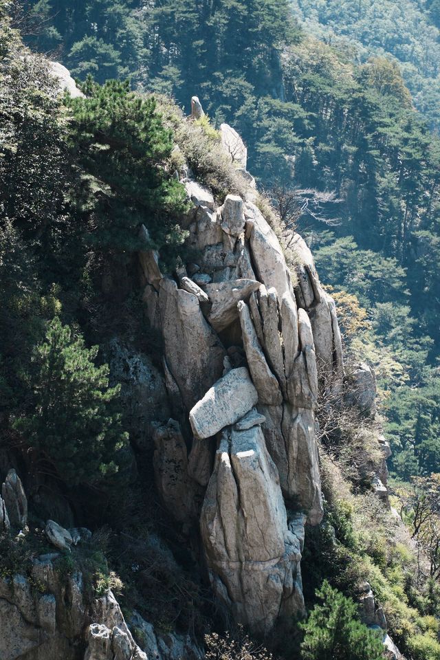 十一國慶假期·登泰山記