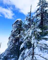 瓦屋山嗎，那確實不錯