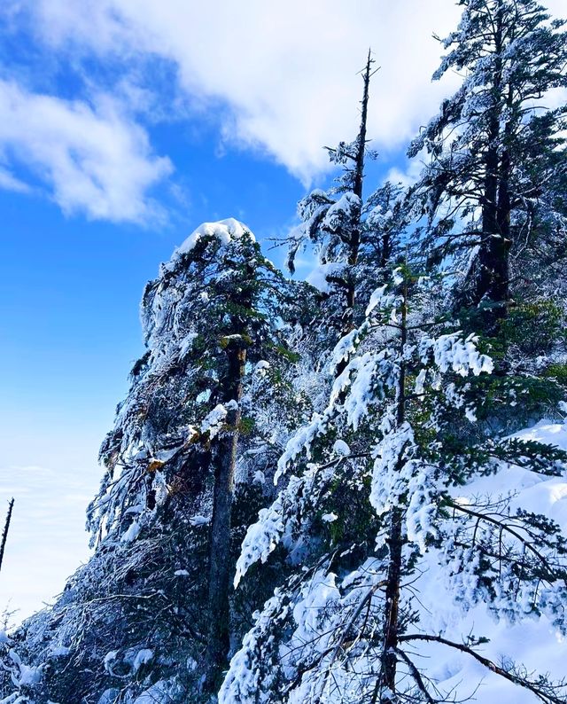 瓦屋山嗎，那確實不錯