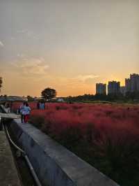 南京江心洲遛娃|真的已經到了next level