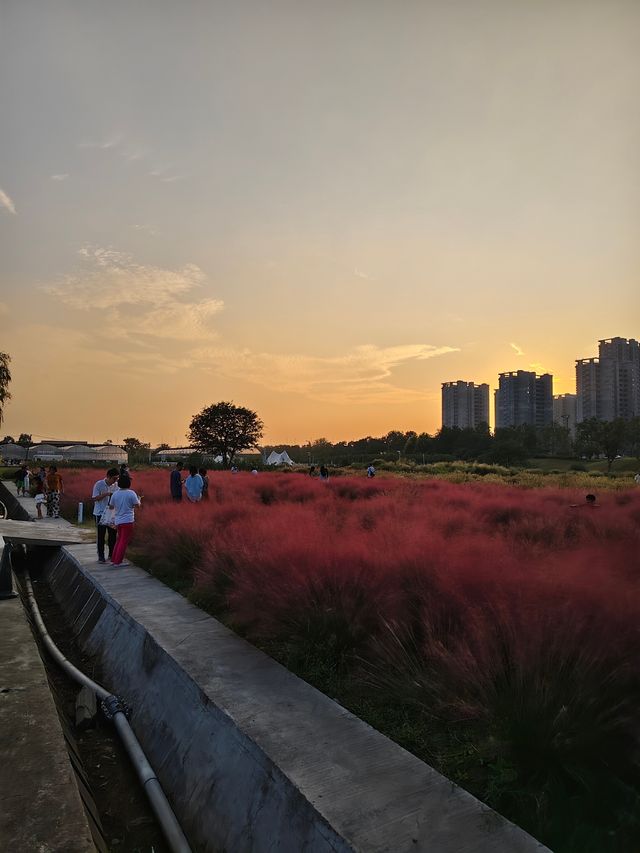 南京江心洲遛娃|真的已經到了next level 南京江心洲遛娃|真的已經到了next level