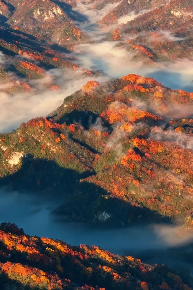 救命光霧山的秋天真的美哭我了