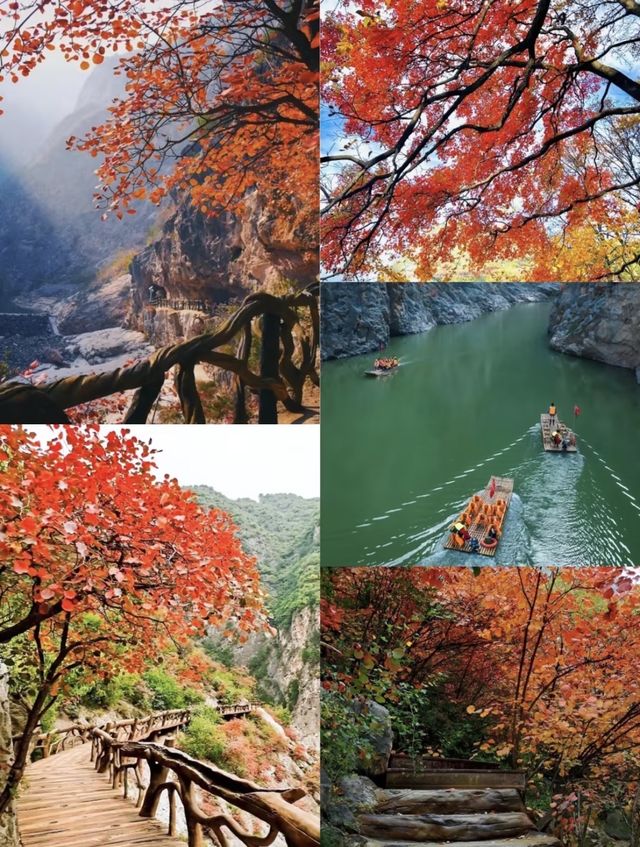 西安周邊秋遊爆衝！鄭國渠秋日限定美景！
