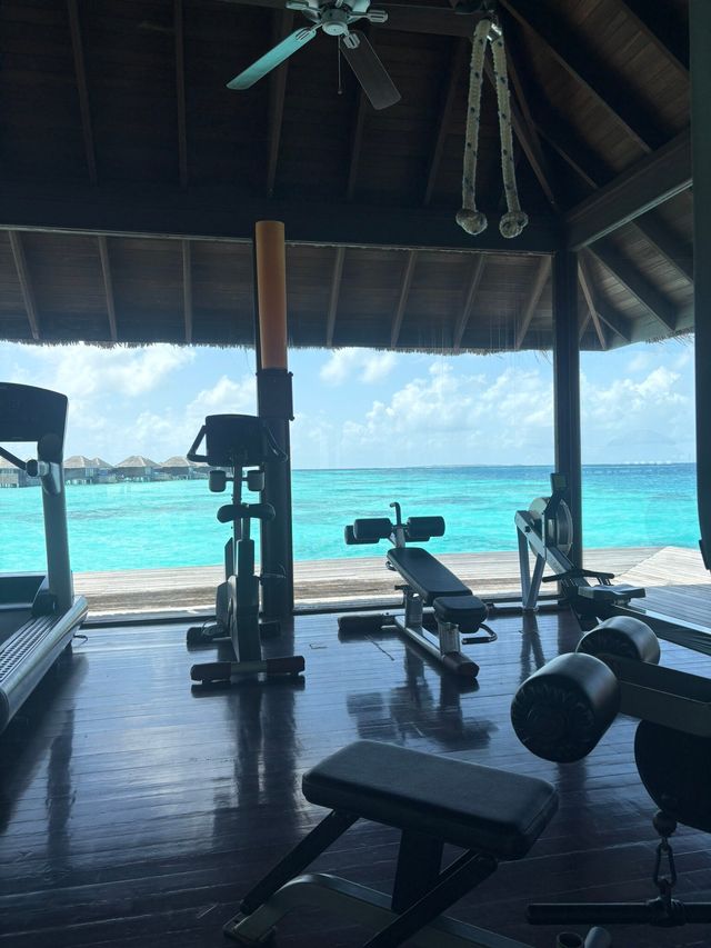 Fantastic Retreat at Coco Bodu Hithi