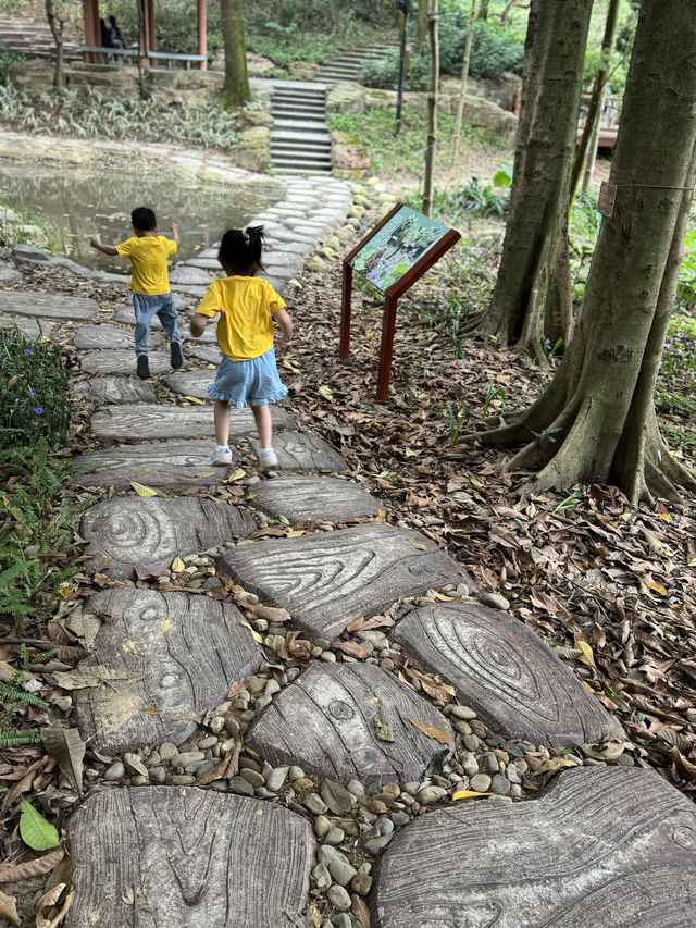親子徒步好去處上帽峰山尋廣州早秋