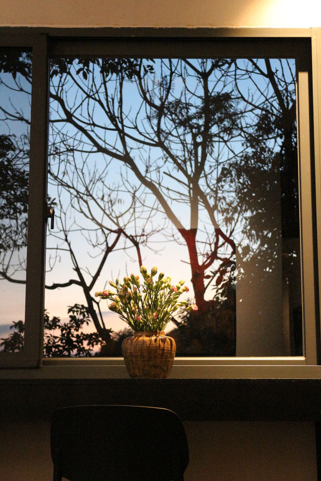 福州旅遊 | 樹光美術館