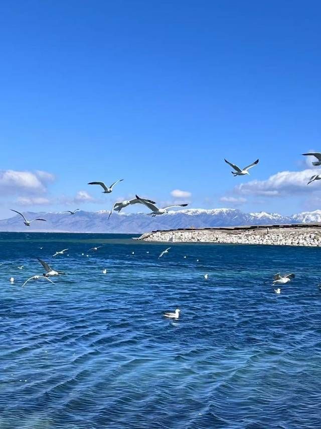 賽里木湖
