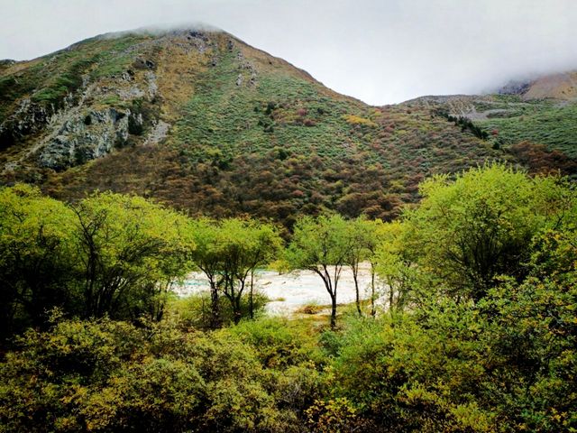 Into the Wild: Exploring Gaoligong’s Breathtaking Valleys and Trails Into the Wild: Exploring Gaoligong’s Breathtaking Valleys and Trails