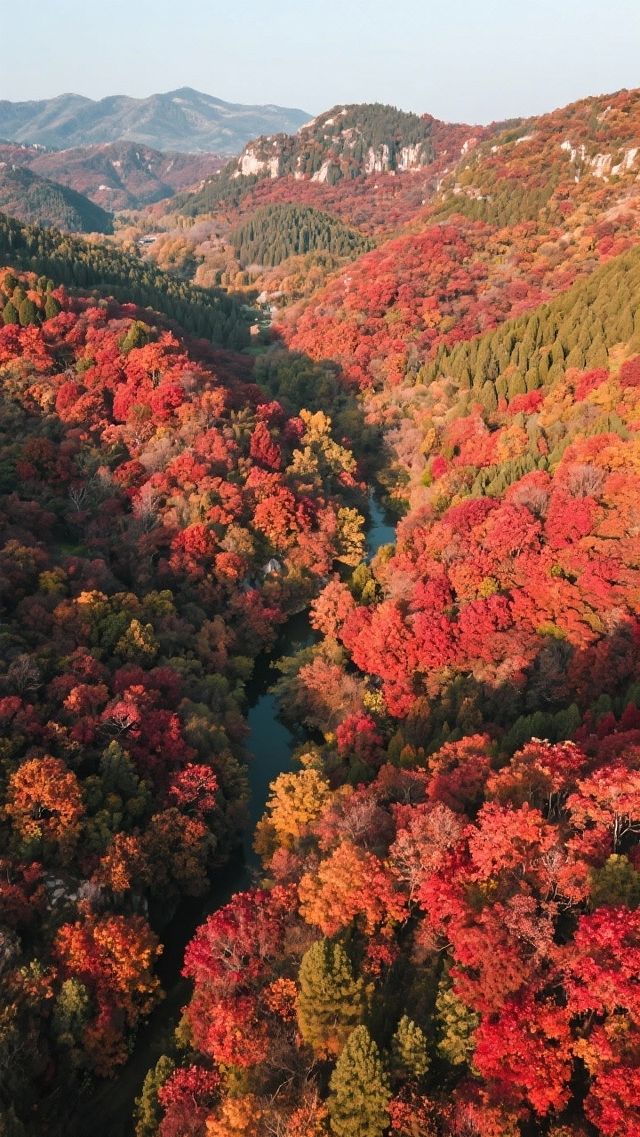 紅葉谷_您值得一去的地方!來了定不後悔! 紅葉谷_您值得一去的地方!來了定不後悔!