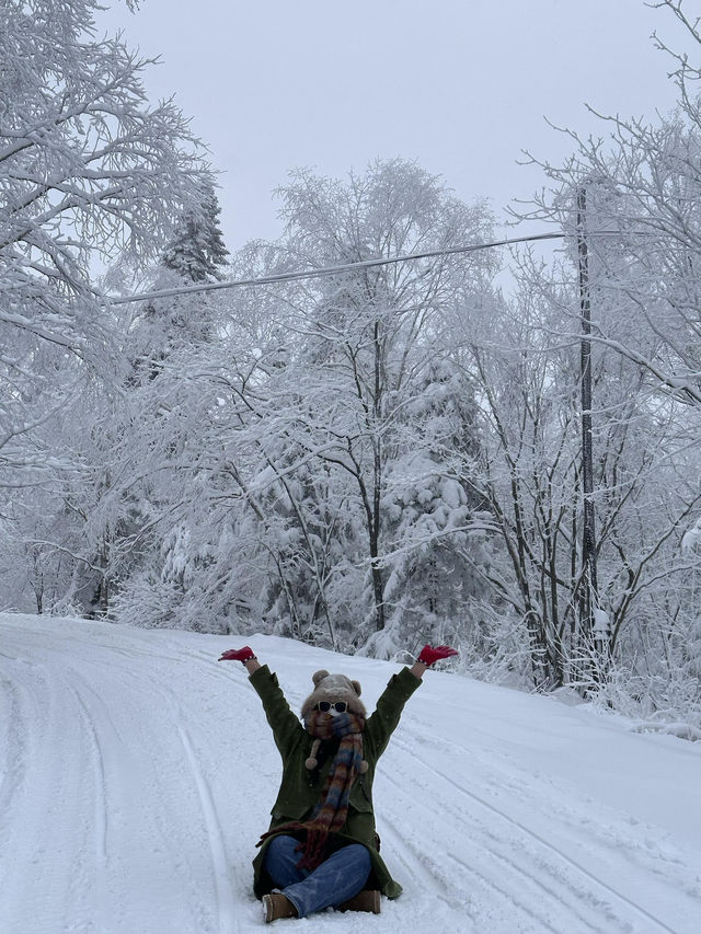 冬日哈爾濱,滑雪泡溫泉一站式 冬日哈爾濱,滑雪泡溫泉一站式