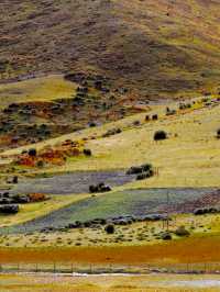 救命 川西秋日私藏秘境！99%人不知道的封神路線