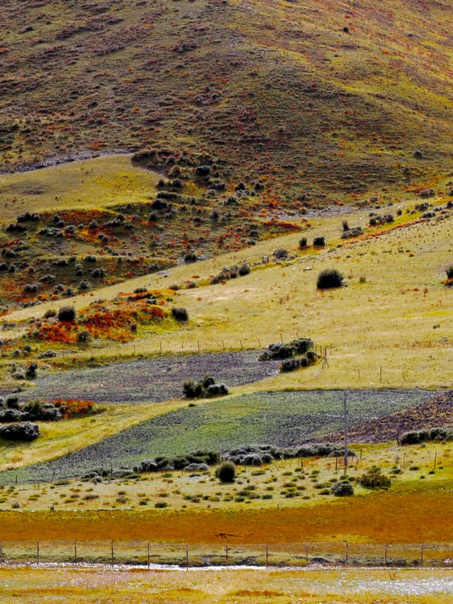 救命 川西秋日私藏秘境！99%人不知道的封神路線